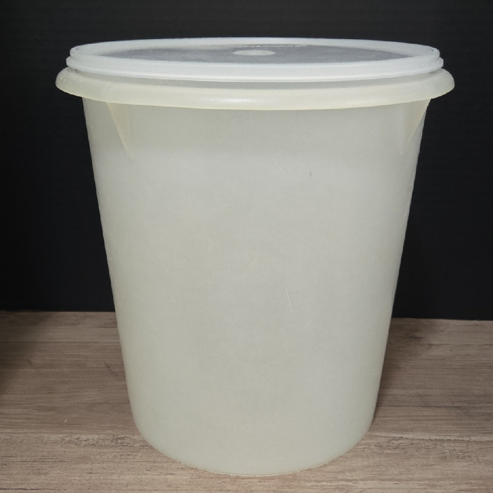 Vintage Tupperware 1203 And 255 Translucent 9qt